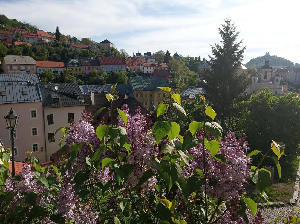 Apartment Melita - The Very Centre Of Town Banská Štiavnica エクステリア 写真